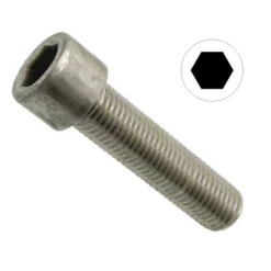 Vis Métaux Tête Cyl. Six Pans Creux Inox A2 M5x20 Acton 1233300