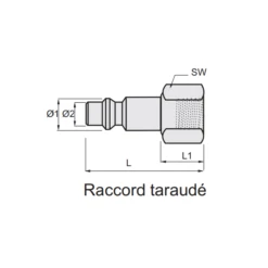 Embout Raccord Rapide Air Comprimé 1/4 Femelle Ø 5,5 Mm Lacmé 360400