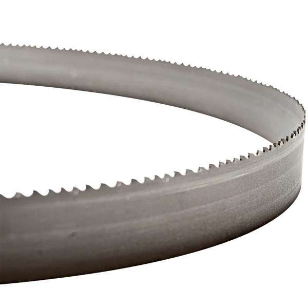 Lame De Scie à Ruban Bimétal Erko STD-K 3010x27x0,9mm 5/8 TPI – Image 3